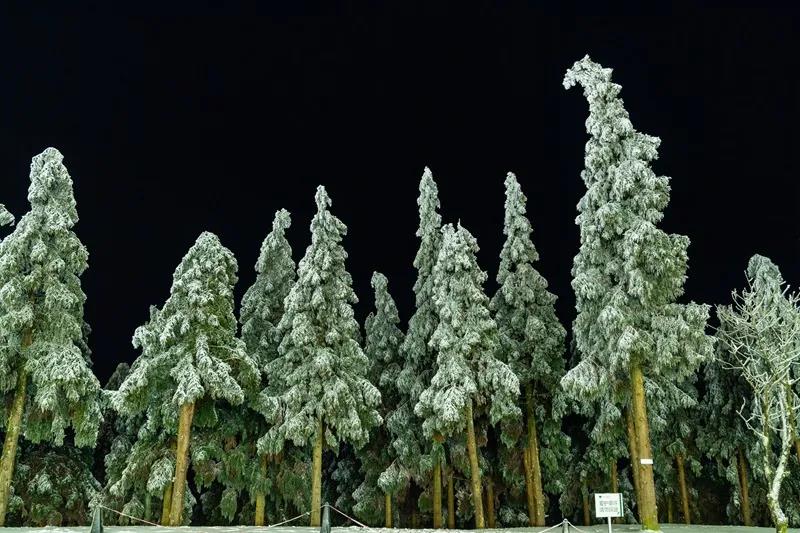 你见过白雪皑皑的泸州之巅，但是你有见过暗夜星空的罗...-5.jpg