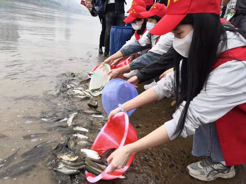 投放鱼苗6000多尾！“绿芽”携手“河小青”共同守护泸州母亲河-3.jpg