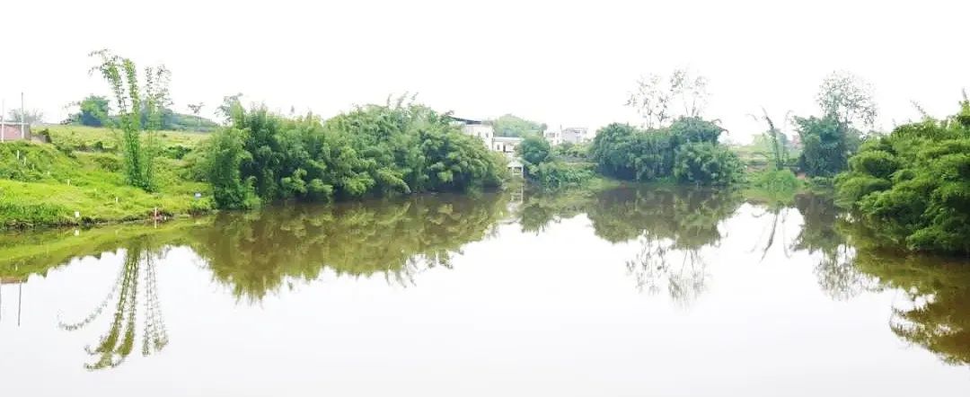 川渝两地检察机关联合巡查泸州濑溪河段-2.jpg