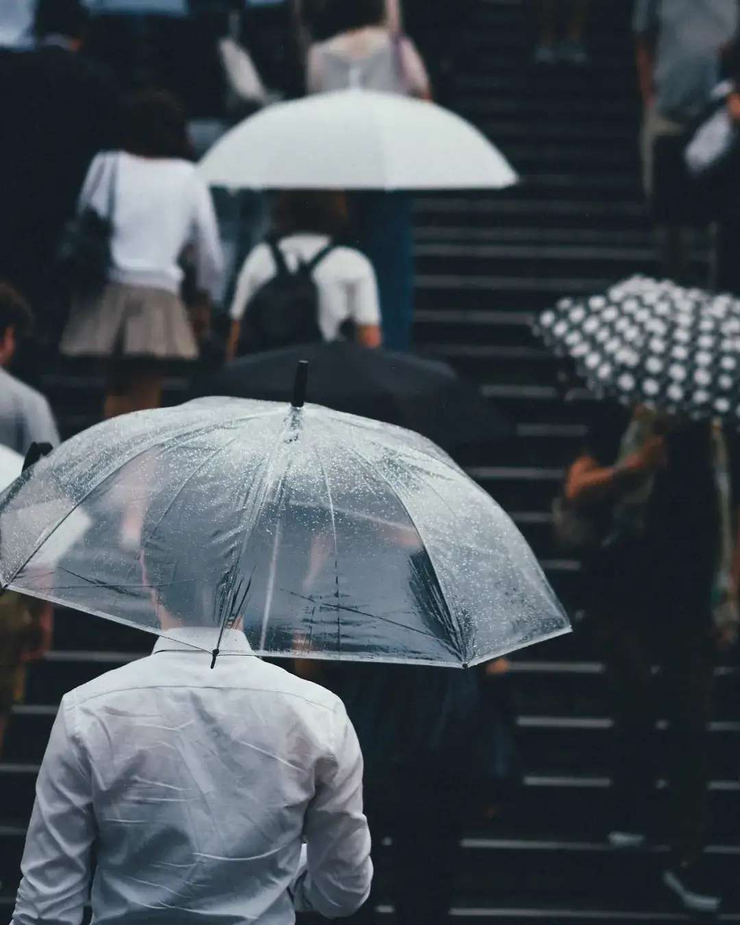 雨天不好拍照？掌握这6个技巧阴雨天也能出好片-3.jpg