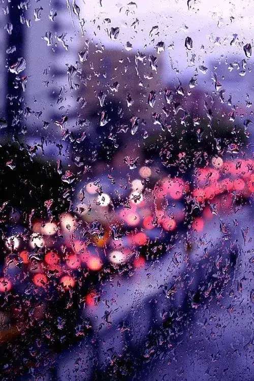 雨天不好拍照？掌握这6个技巧阴雨天也能出好片-8.jpg