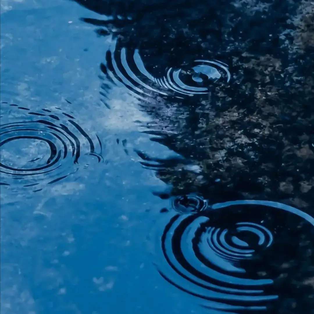 雨天不好拍照？掌握这6个技巧阴雨天也能出好片-10.jpg