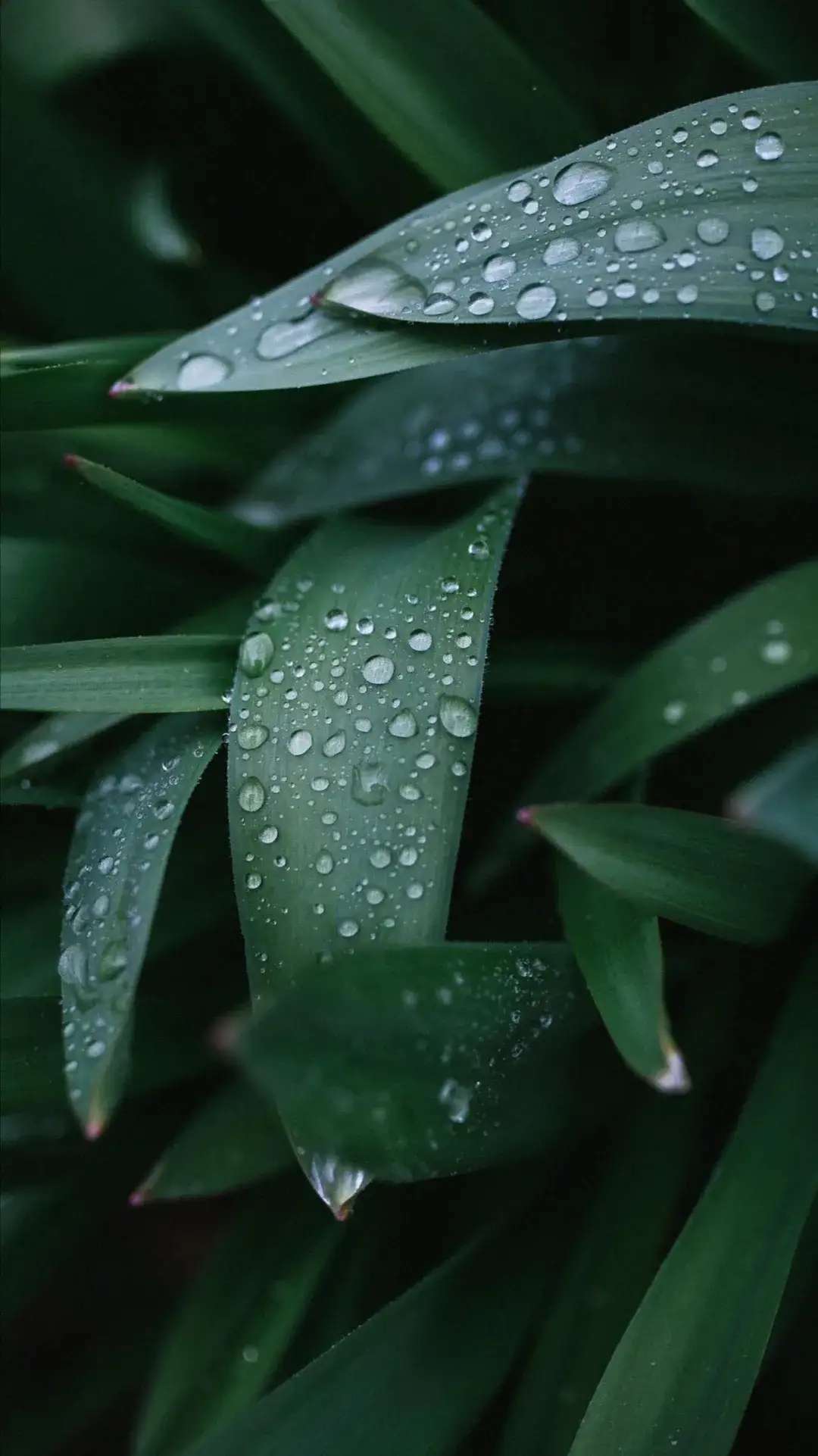 雨天不好拍照？掌握这6个技巧阴雨天也能出好片-11.jpg