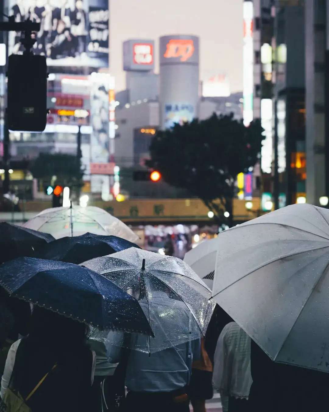 雨天不好拍照？掌握这6个技巧阴雨天也能出好片-18.jpg