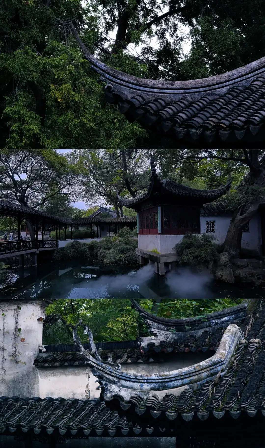 雨天不好拍照？掌握这6个技巧阴雨天也能出好片-19.jpg
