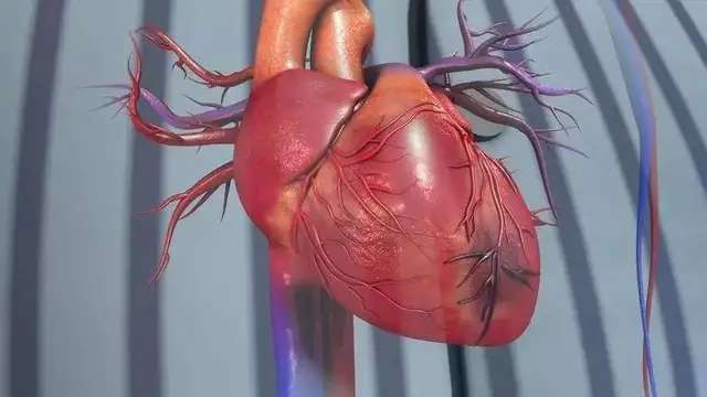 血管堵塞最可怕，心血管专家总结了疏通血管的9种方法！-1.jpg