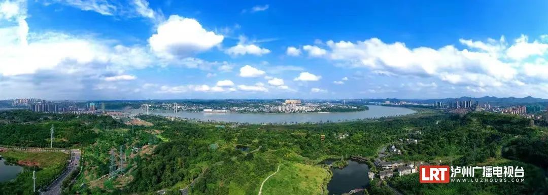 超美！张坝桂圆林出现大量“亮晶晶”（附出没位置）-3.jpg