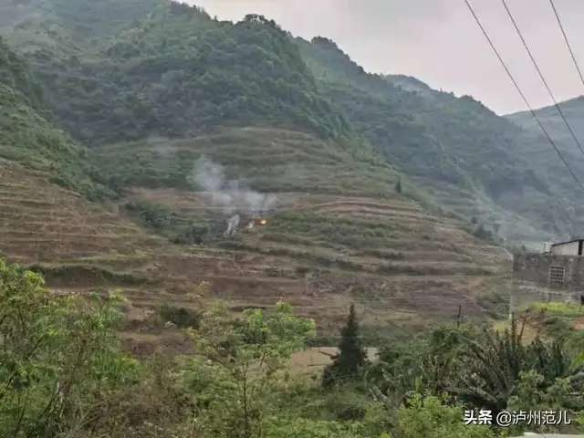 违规野外用火 泸州古蔺3人被行政拘留-2.jpg