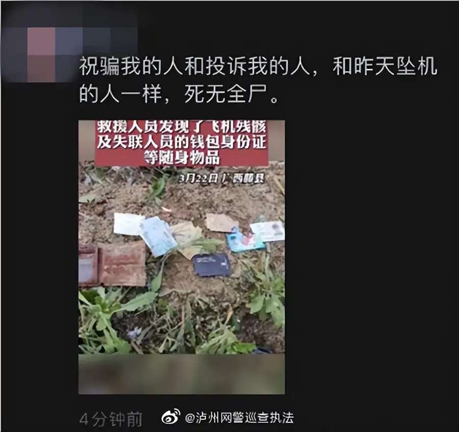 泸州网民发表涉东航坠机事件不当言论，已依法行拘！-1.jpg