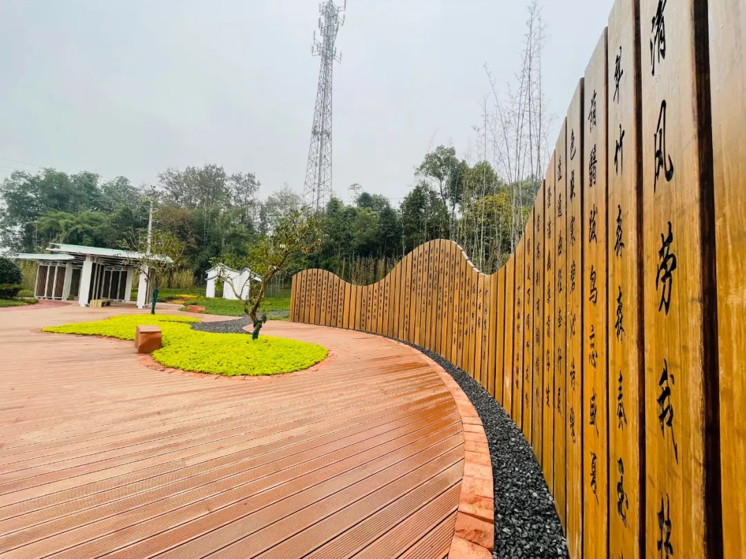 泸州已有7条省级竹林风景线，今年还要新建2条以上-1.jpg