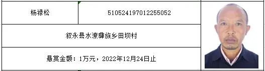 泸州“边城”的朋友们，法院悬赏礼包来啦！-3.jpg