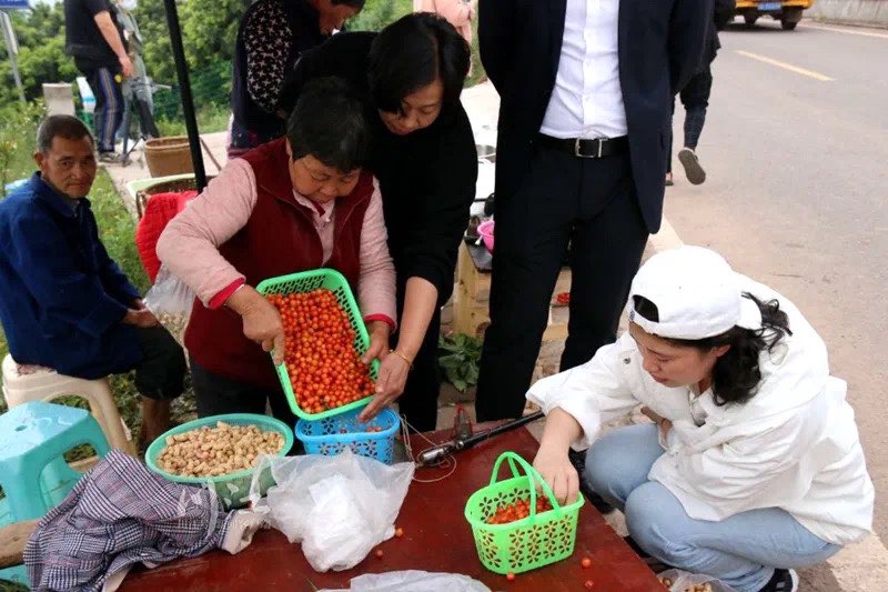 采摘地图来了丨泸州樱桃这个周安排吃个够，快冲！-3.jpg