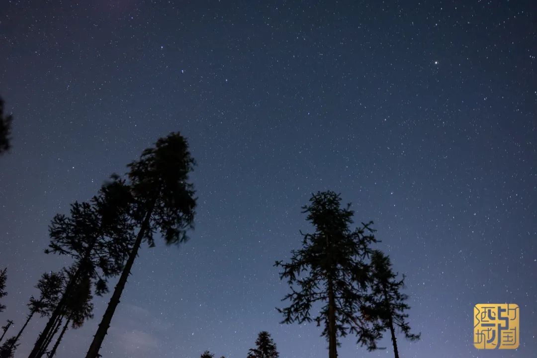 这个周末想约你一起看泸州星空！繁星银河唾手可得-2.jpg