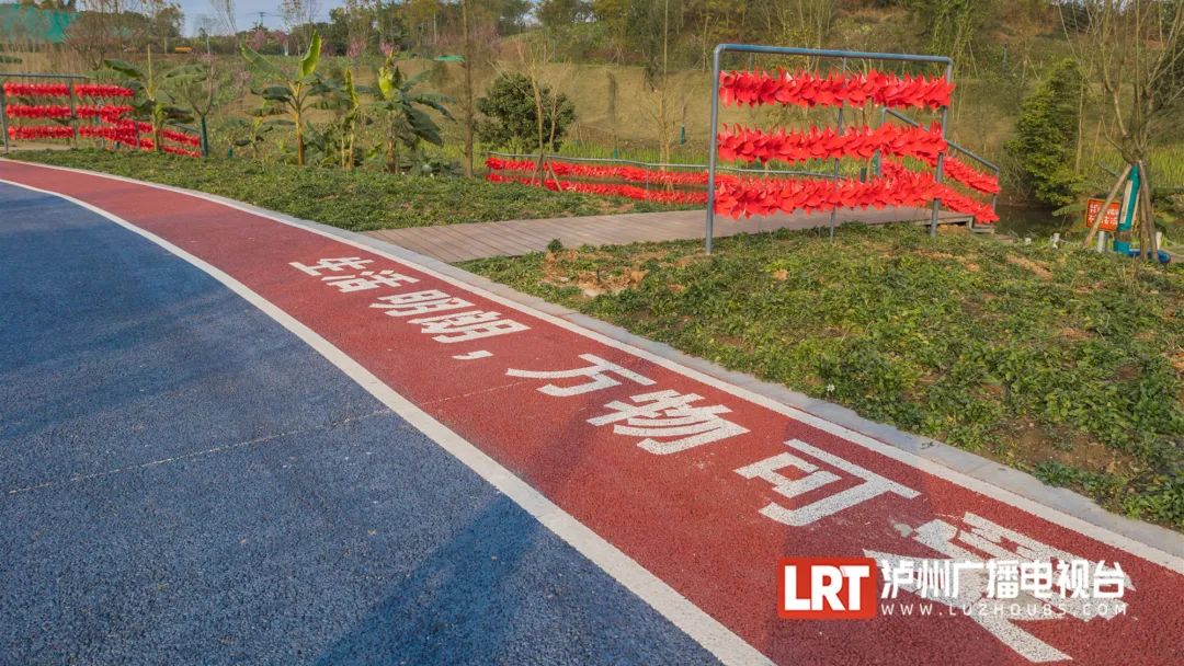 春日休闲丨今天去哪玩？泸州这几个公园争先举手：选我！-6.jpg