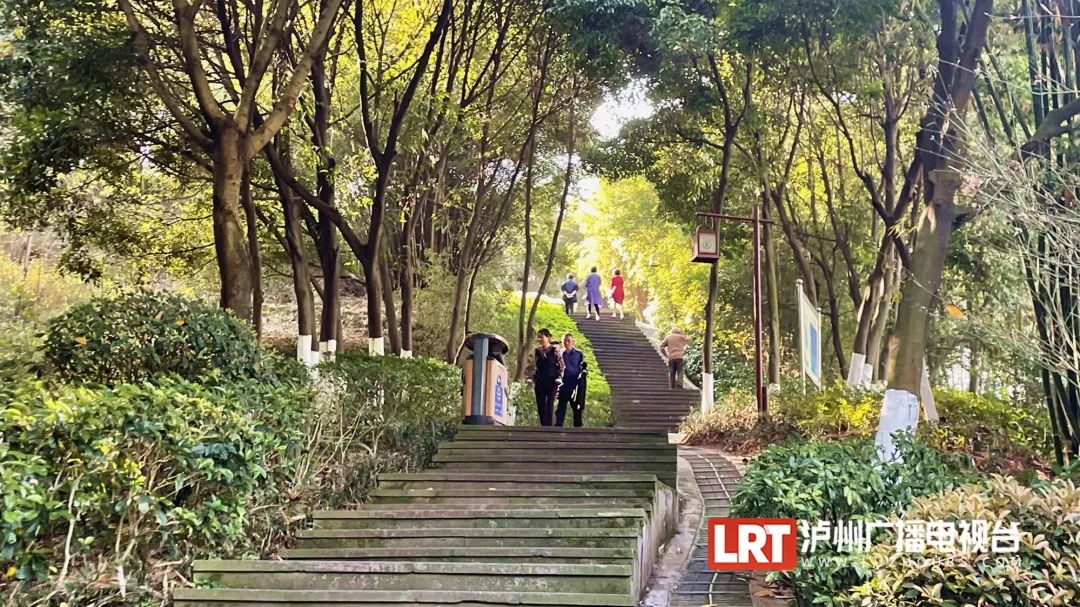 春日休闲丨今天去哪玩？泸州这几个公园争先举手：选我！-11.jpg