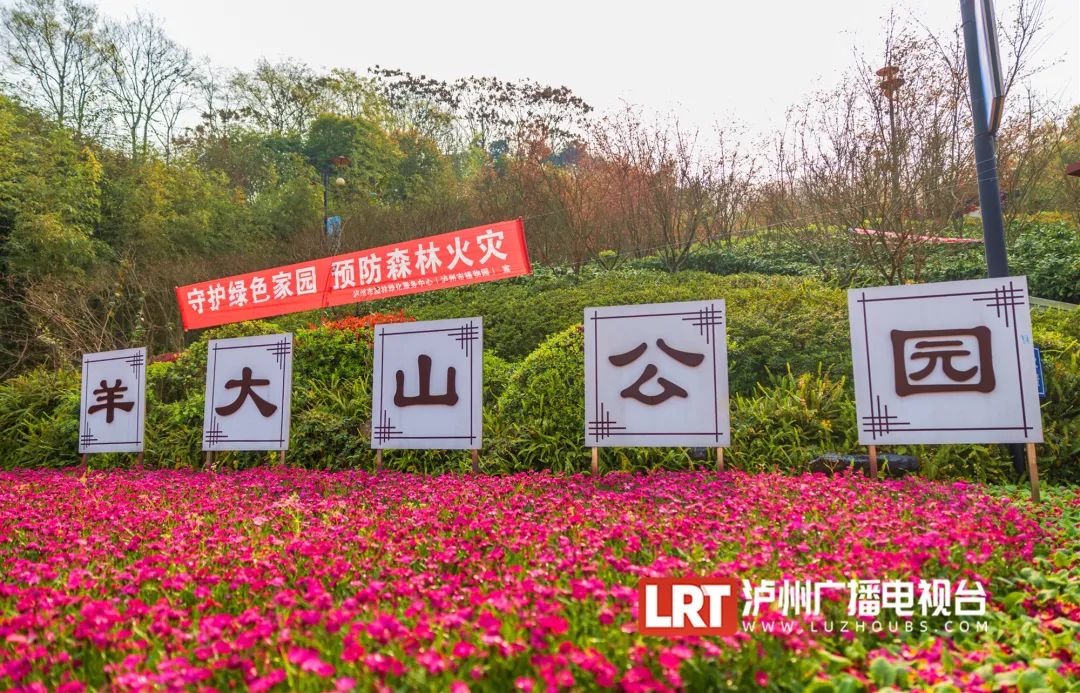 春日休闲丨今天去哪玩？泸州这几个公园争先举手：选我！-10.jpg