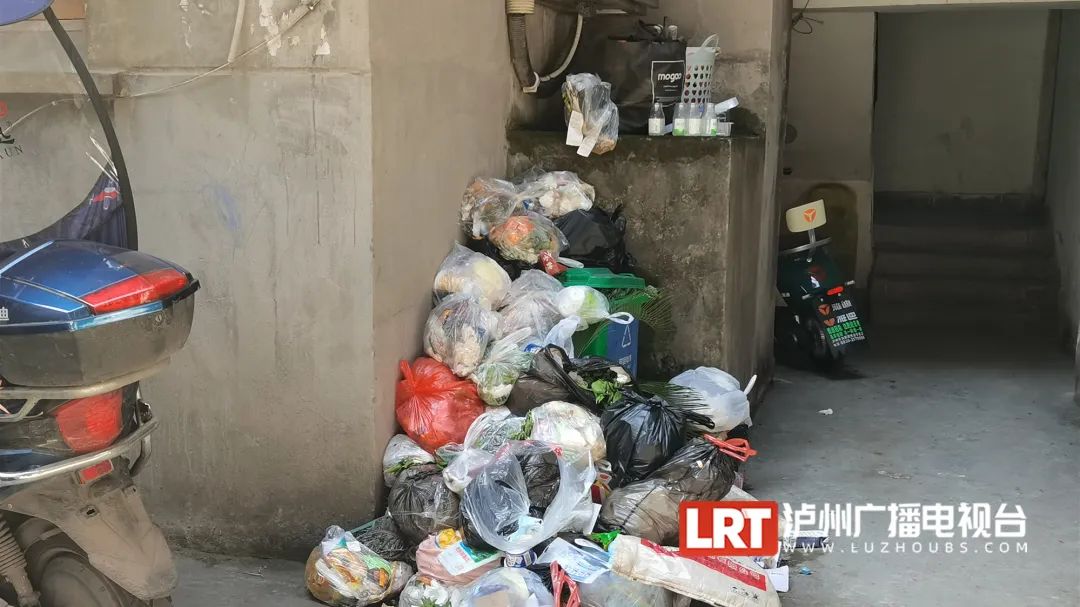 后续｜泸州垃圾成堆的小区，问题解决没？-2.jpg