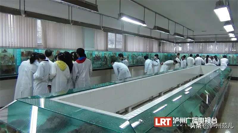 西南医科大学人体科学馆被认定为全国科普教育基地-1.jpg