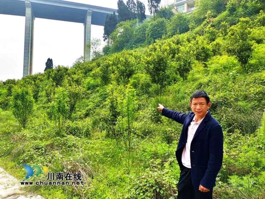 纳溪旅游风景区再添新成员！古龙大瀑布景区＂五一＂开门迎客-6.jpg