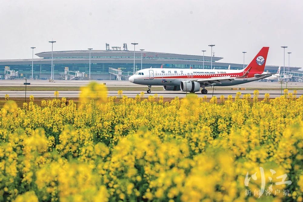 中国最靠近长江的机场：功成身不退-14.jpg
