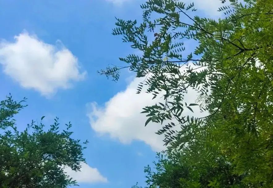 泸州人速来围观，升温与降温之间的PK-3.jpg