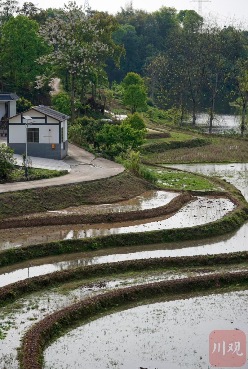 水从天上来！泸县“人工天河”灌溉3万亩农田-7.jpg