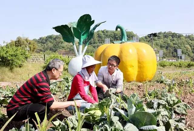 金融助力“开门红”丨泸州：保险更有力度更有温度，守护酒城百姓的美好生活-1.jpg
