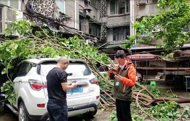 金融助力“开门红”丨泸州：保险更有力度更有温度，守护酒城百姓的美好生活-3.jpg