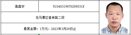 红星街道的朋友们，第二波万元赏金来袭，赶快行动吧！-4.png
