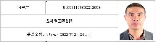 红星街道的朋友们，第二波万元赏金来袭，赶快行动吧！-5.jpg