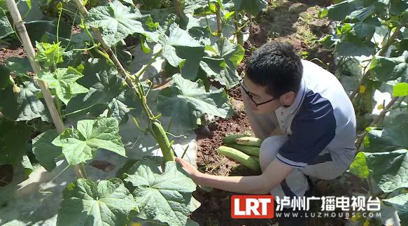 占地15亩！泸州校园版“开心农场”上线-3.jpg