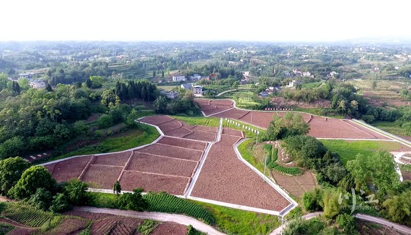 渝昆高铁川渝段首个弃土场通过验收-3.jpg