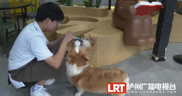 担心狂犬疫苗打了无效?泸州狂犬病疫苗抗体检测服务来了-1.jpg