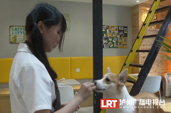 担心狂犬疫苗打了无效?泸州狂犬病疫苗抗体检测服务来了-2.jpg
