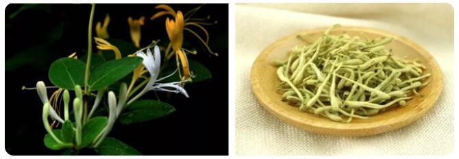 认错了“血皮菜”误食后恶心呕吐，泸州两姐妹急忙赶到医院-4.jpg