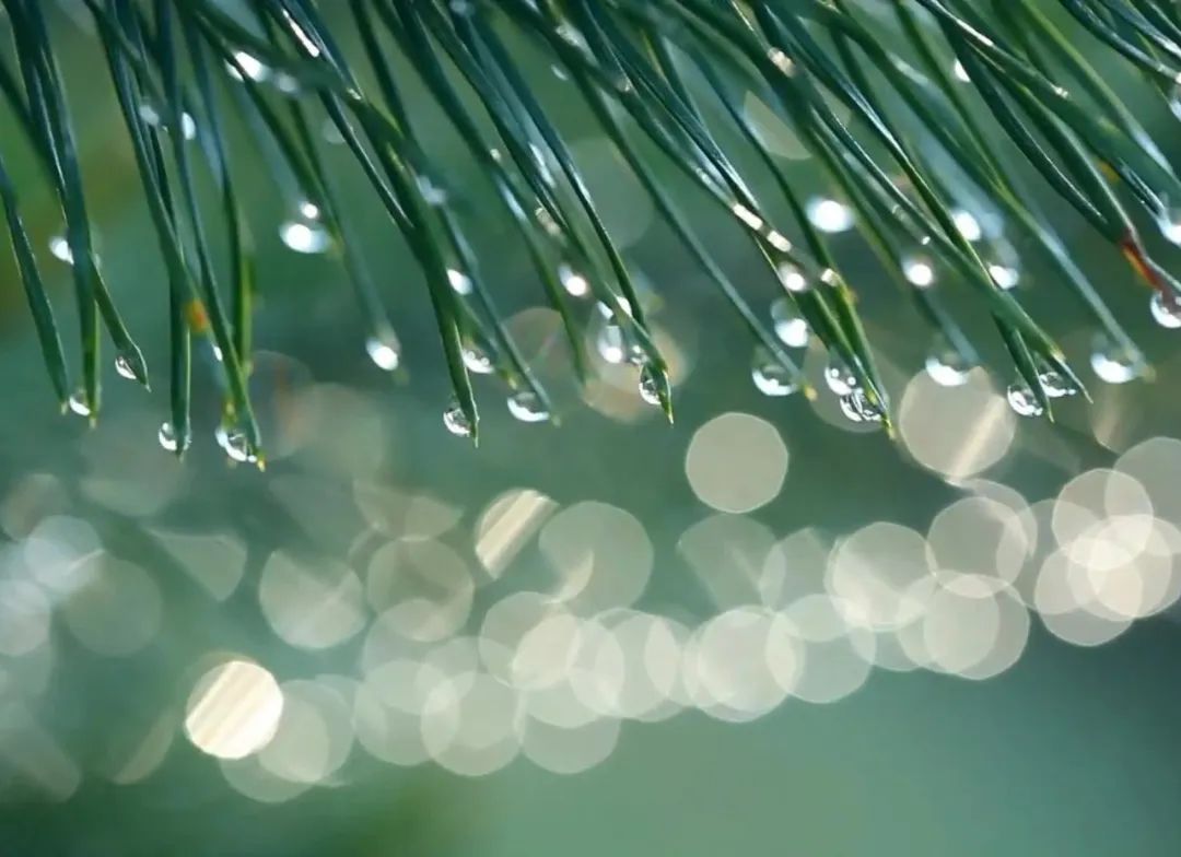 有晴、有雨、下周你需要注意气温变化-2.jpg