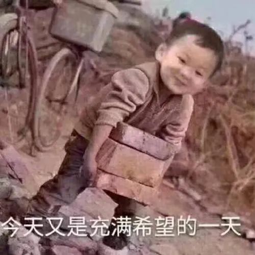 最新通知！端午节不免费！-1.jpg