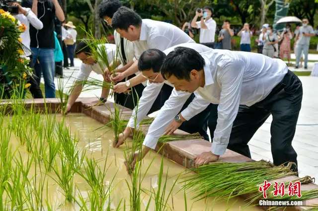袁隆平铜像落成揭幕仪式在三亚举行-3.jpg