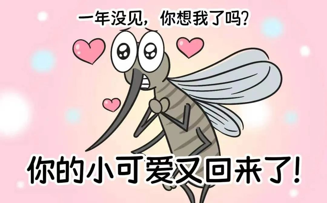 蚊子为啥总叮你？驱蚊妙招学起来！-2.jpg