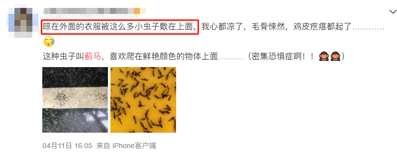 泸州人注意！最近少穿黄色、绿色衣服出门-1.png