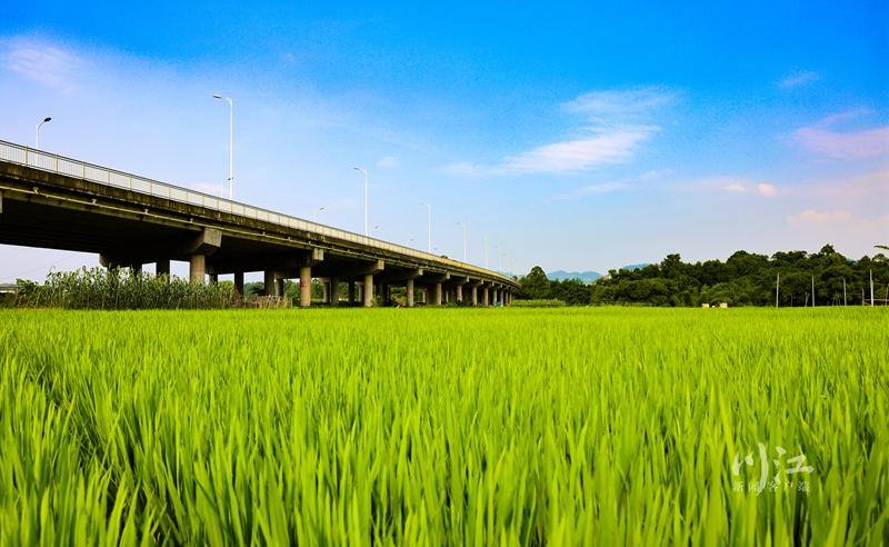 成绩出炉，泸州连续六年获得“优秀”！-1.jpg