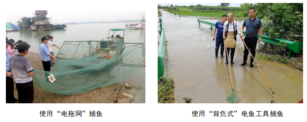 非法捕捞野生鱼类200多斤，泸州“三无船只”被抓获-8.png