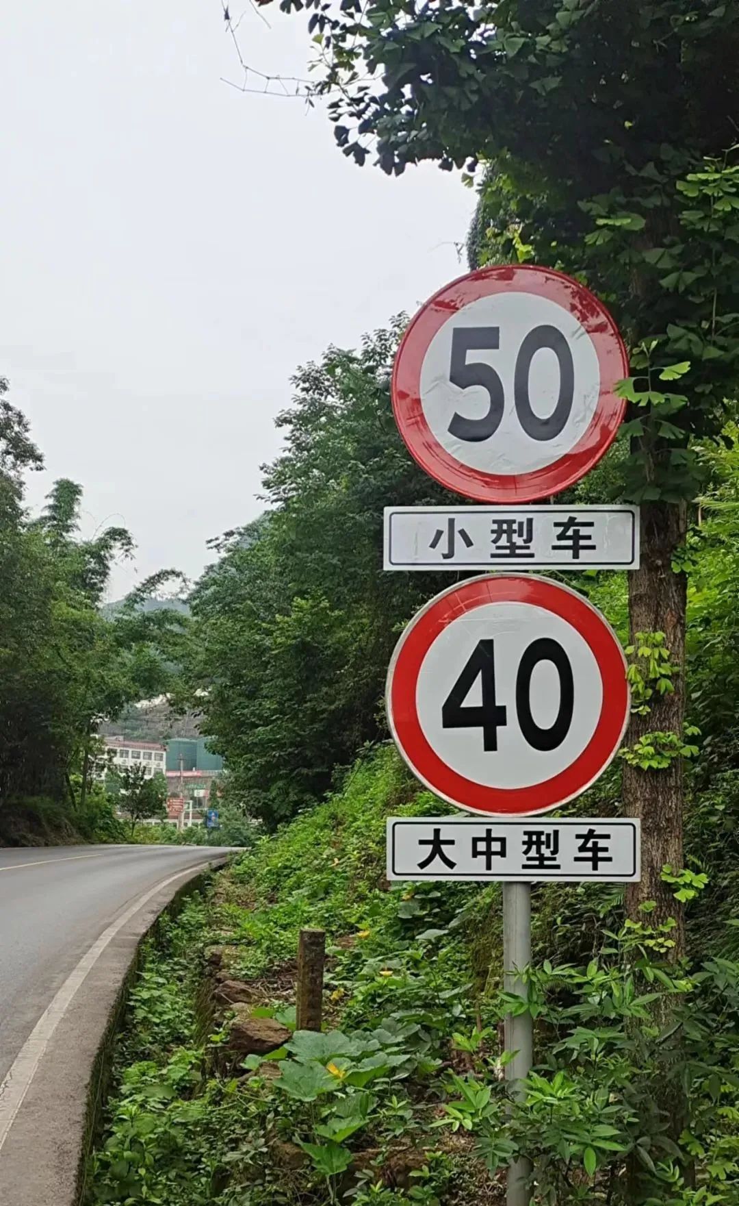 7月7日起，G246国道“纳江”路部分路段限速有调整！-1.jpg