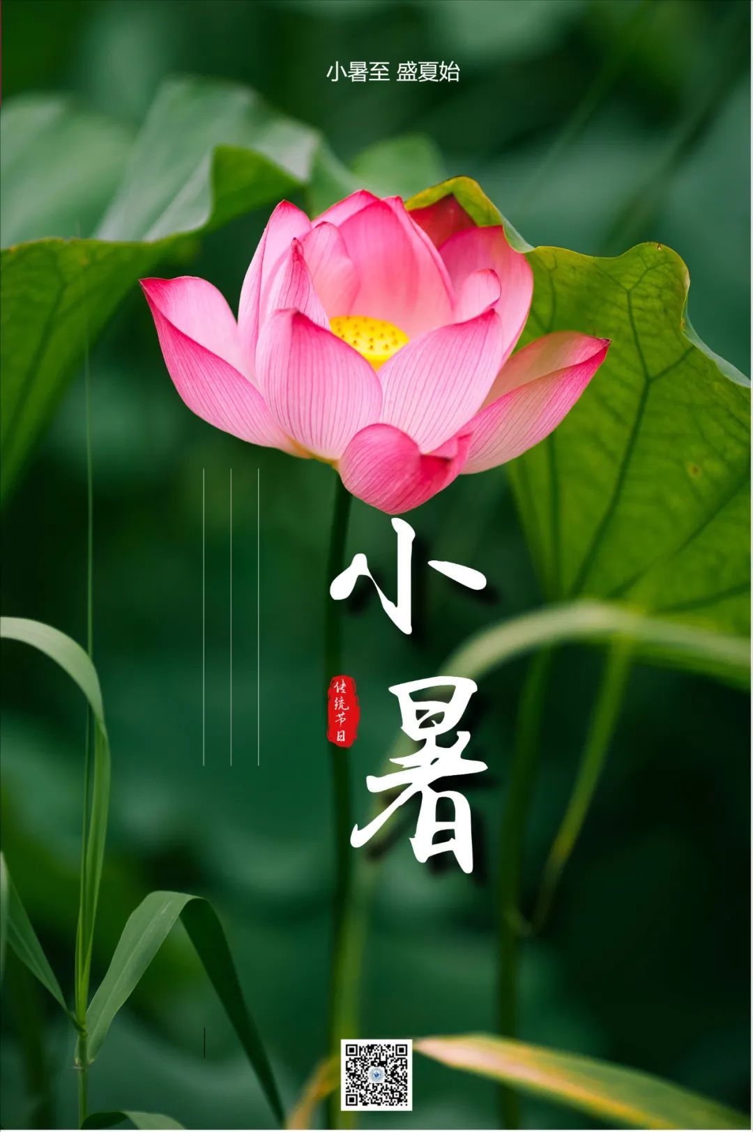 @泸州人 今日小暑，盛夏养生这“三宜三忌”一定要知晓！-2.jpg
