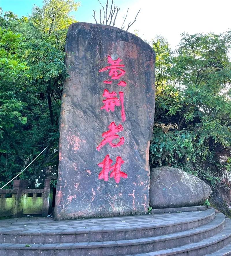 有瀑布、碧潭！去古蔺避暑胜地，过15℃的夏天-2.jpg
