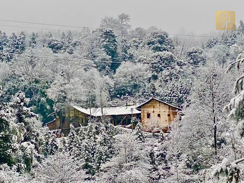 最低0℃！可能要下雪！泸州人挺住！强降温又来了-10.jpg