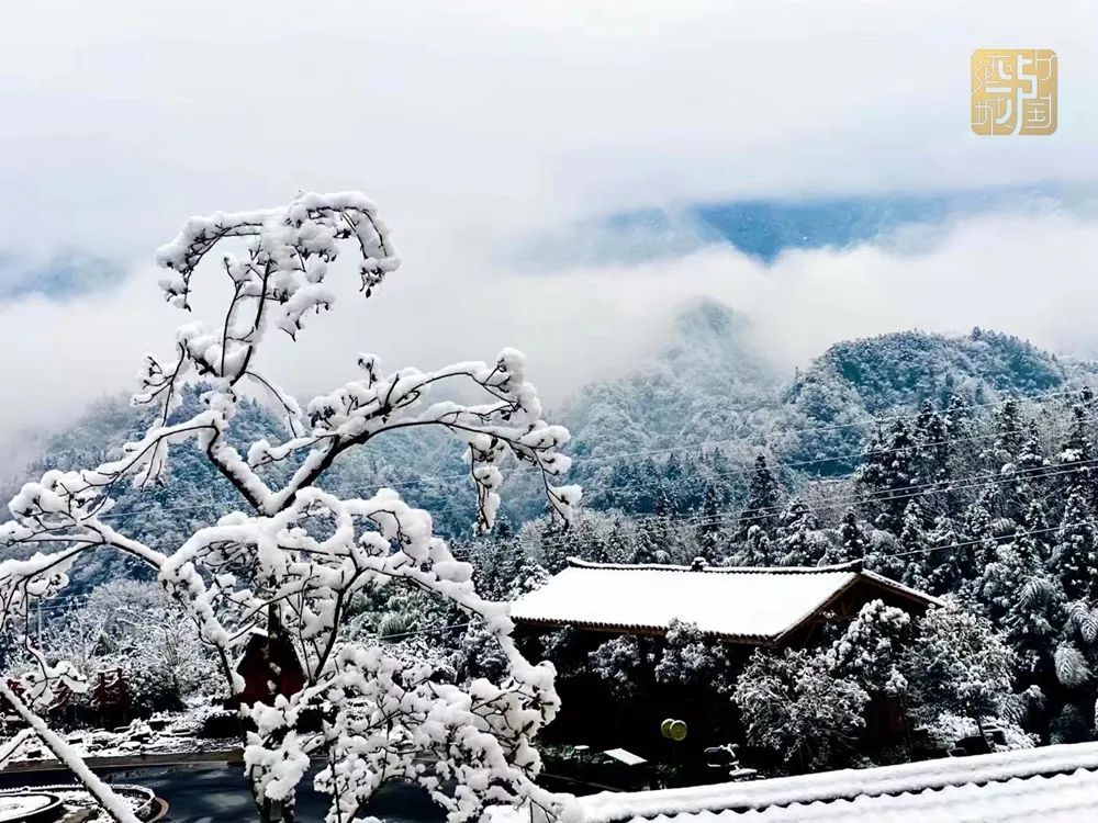 最低0℃！可能要下雪！泸州人挺住！强降温又来了-6.jpg