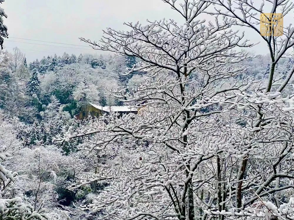 最低-3℃！本周末泸州部分地区将迎来下雪-6.jpg