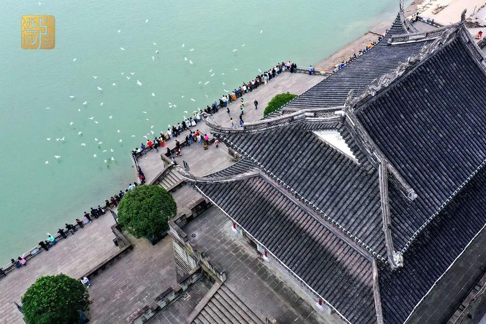 泸州家书2023丨美丽酒城正在等你回家！！快回来吧-6.jpg