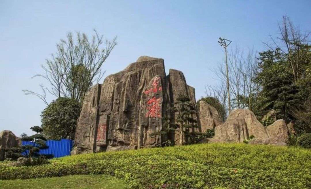 春节去哪玩？泸州公园、景区公交线路指南请查收！-2.jpg